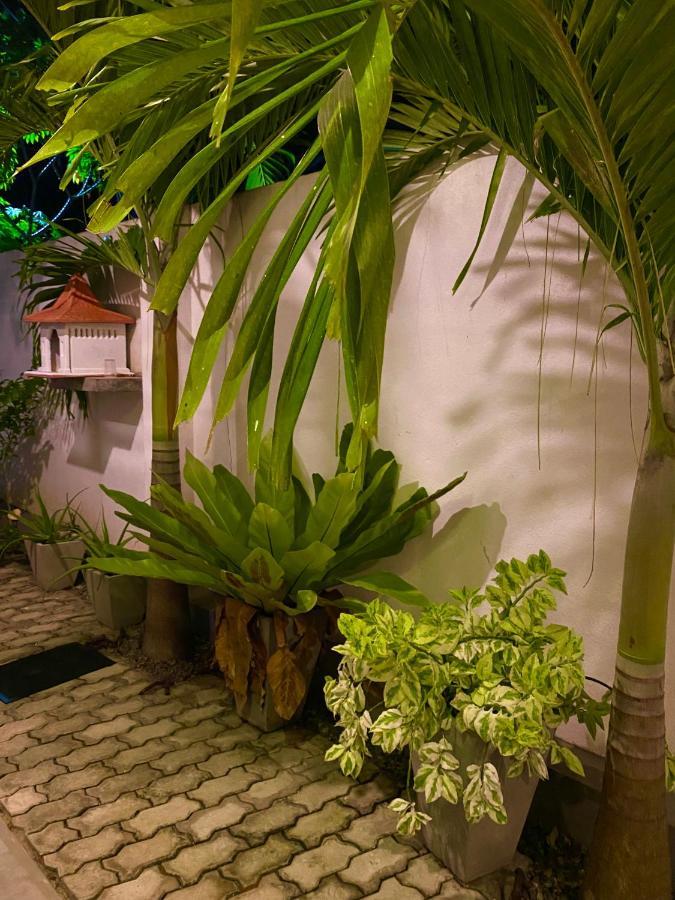 Guesthouse Bodensee Хиккадува Экстерьер фото